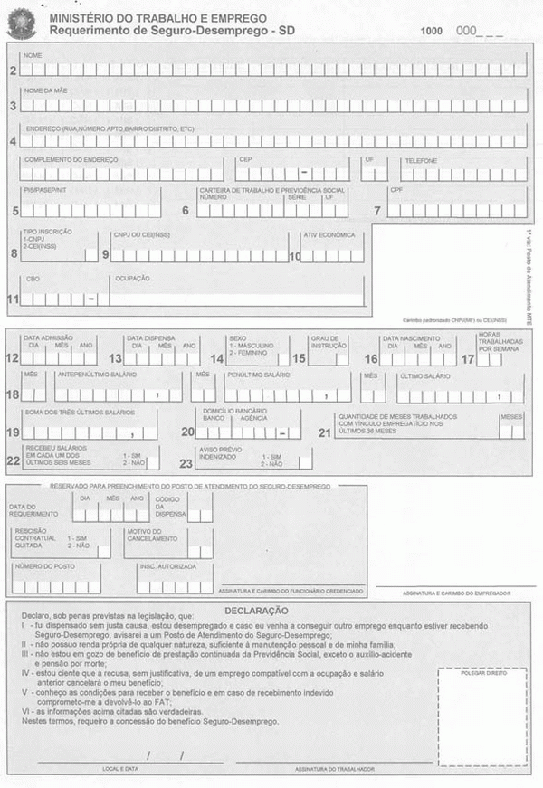 Exemplo De Requerimento De Seguro Desemprego Preenchido Novo Exemplo