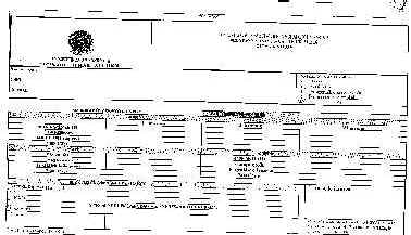 wpe3.jpg (17906 bytes)