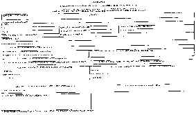 wpe1.jpg (9581 bytes)