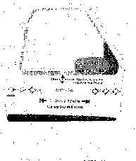 wpe2.jpg (118940 bytes)